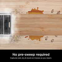 Steam & Scrub Mop™